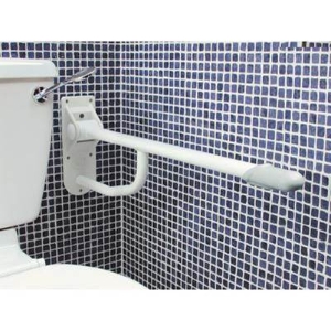 Drop Down Toilet Rail